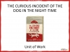 The Curious Incident of the Dog in the Night-time Unit of Work Teaching Resources (slide 1/374)